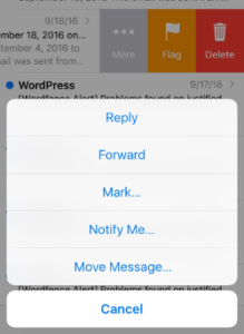 A screenshot of the wordpress email app on an iphone.